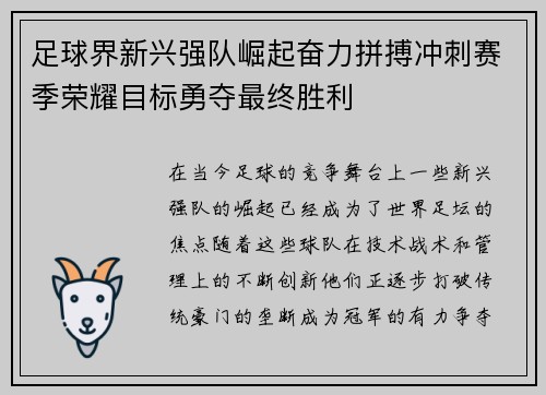 足球界新兴强队崛起奋力拼搏冲刺赛季荣耀目标勇夺最终胜利